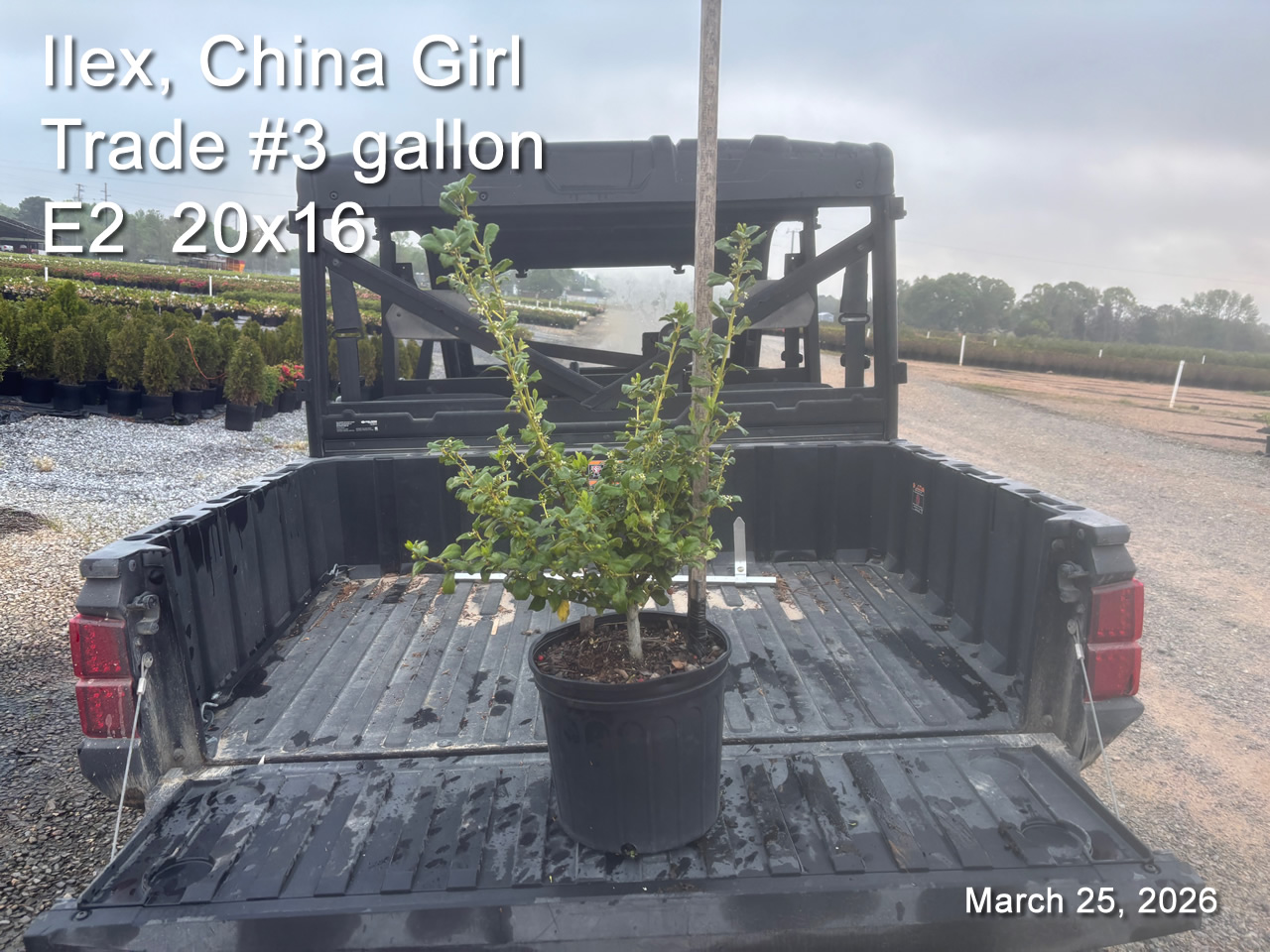 gallery/cg3t e2 mar25.jpg